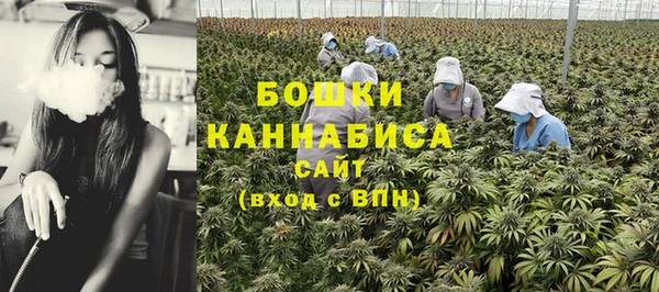 МДПВ Нея